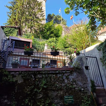 Le Enecy - Spa - Coeur Vieille Ville 안시 외부 사진